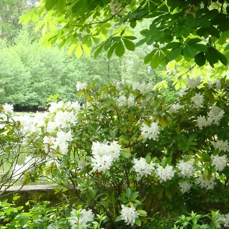 De Alsace - Elsass - Alsace Apartament