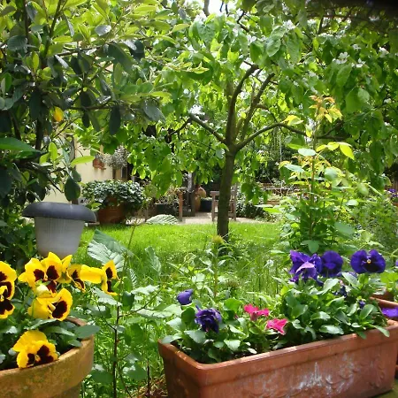 Apartament De Alsace - Elsass - Alsace *