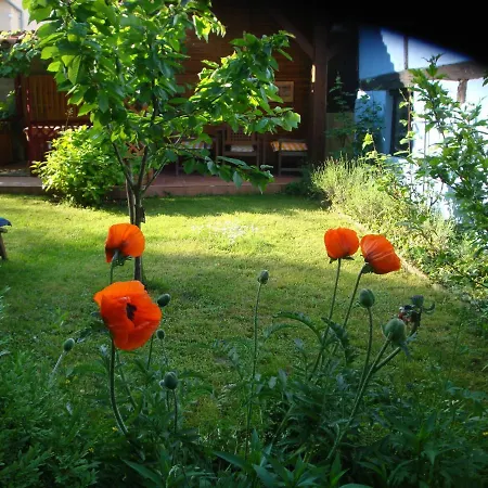 Apartament De Alsace - Elsass - Alsace *