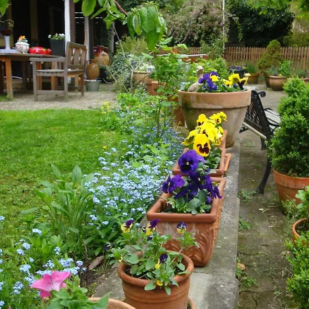 Apartment De Alsace - Elsass - Alsace