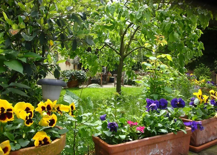 Apartamento De Alsace - Elsass - Alsace *
