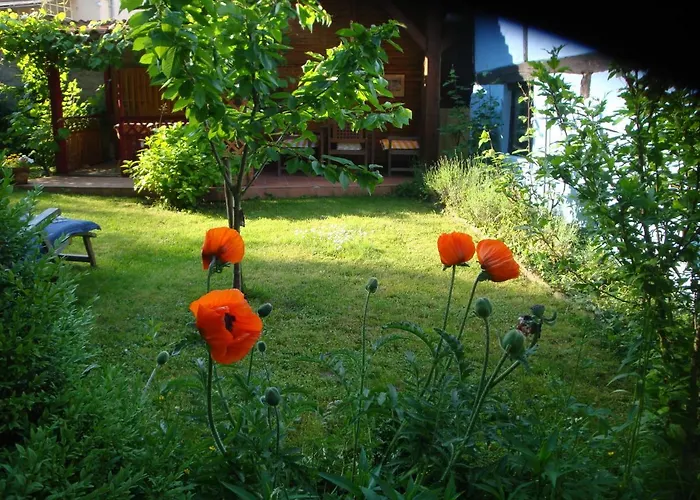 Apartamento De Alsace - Elsass - Alsace *