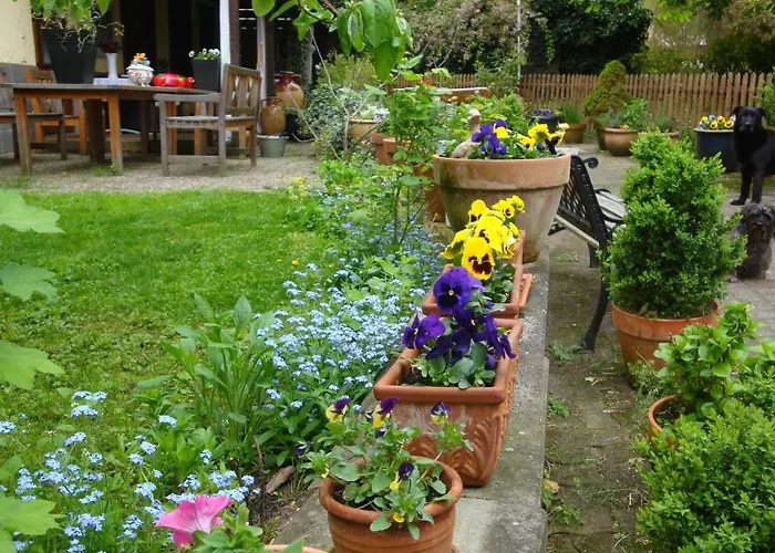 Apartamento De Alsace - Elsass - Alsace